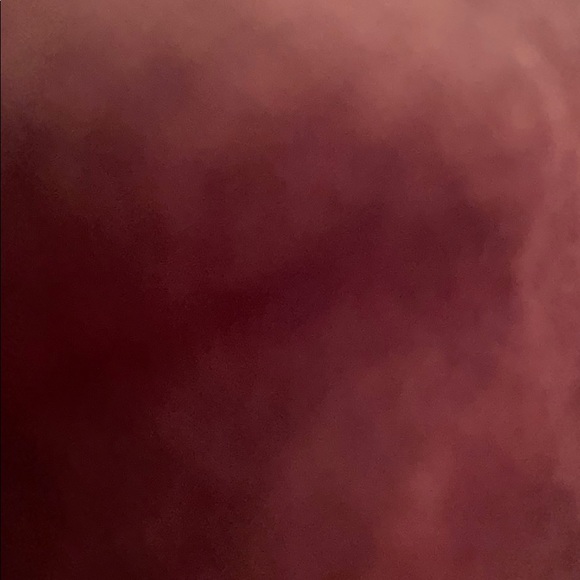 Meet your Posher, Payton - Picture 1 of 1